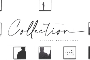 Collection Font: Elevating Editorial Design