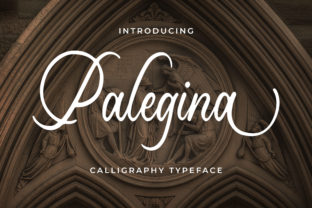 Palegina Font: Elevating Small Business Branding
